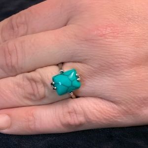 Turquoise with silver band